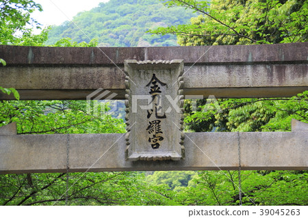 琴平神社 琴平神社 39045263