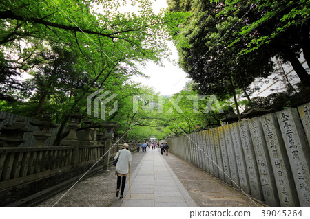 琴平神社 琴平神社 39045264
