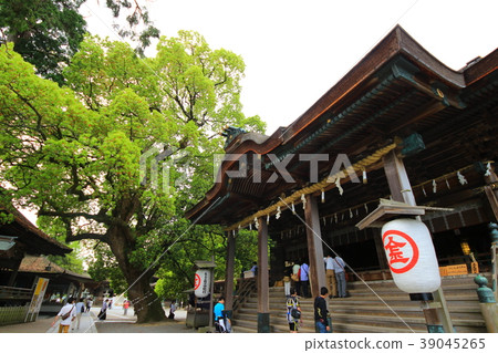 琴平神社 琴平神社 39045265