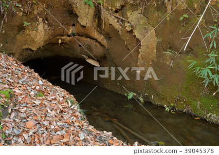 Tamagawa Kamimizu walk: Tamagawa Kamisui Ogawa diversion 39045378