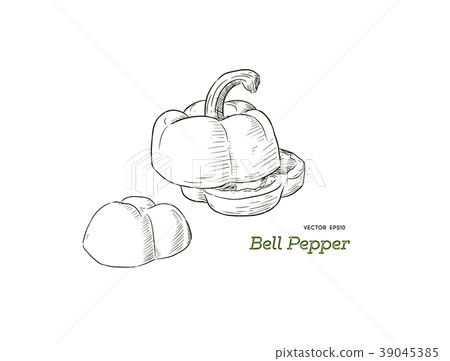 Pepper hand drawn vector set. 39045385
