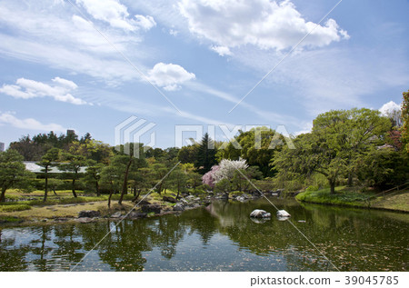 Nagoya City April Swan Garden 39045785