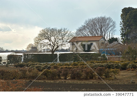 Minuma Nada: Cultivated land Minuma Nada: Cultivated land 39047771