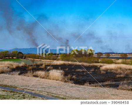 Watarase Yusui地面Yoshi烤 39048458