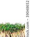 Close up of fresh cuckooflower background. 39048652