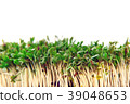 Close up of fresh cuckooflower background. 39048653