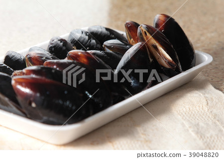 clam or mussel cuisine 39048820