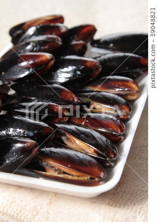clam or mussel cuisine clam or mussel cuisine 39048821