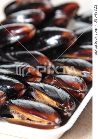 clam or mussel cuisine clam or mussel cuisine 39048822