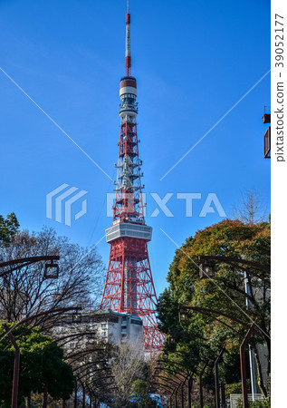 芝公園和東京塔 39052177