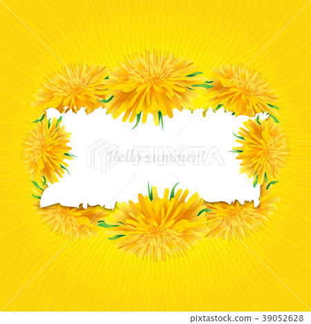 Summer card Dandelions isolated, yellow sun Summer card Dandelions isolated, yellow sun 39052628