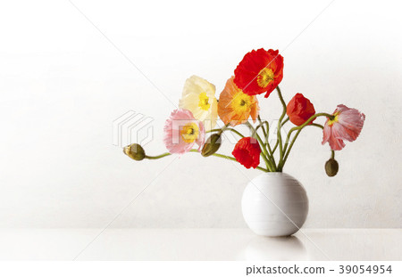 Poppy on a white background 39054954