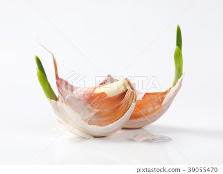 cloves of fresh garlic cloves of fresh garlic 39055470