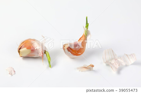 cloves of fresh garlic cloves of fresh garlic 39055473