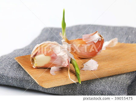 cloves of fresh garlic cloves of fresh garlic 39055475