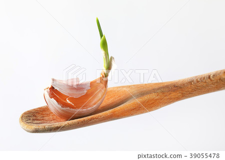 clove of fresh garlic 39055478