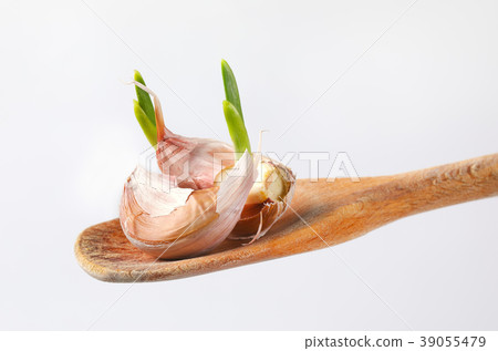 cloves of fresh garlic 39055479