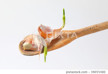cloves of fresh garlic cloves of fresh garlic 39055480