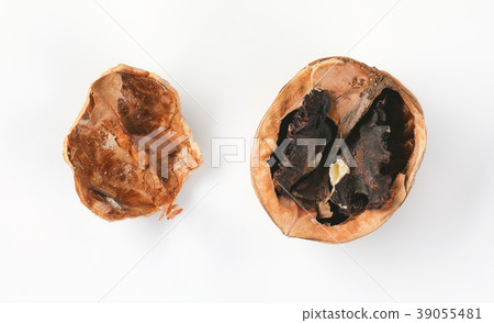 rotten walnut in shell rotten walnut in shell 39055481