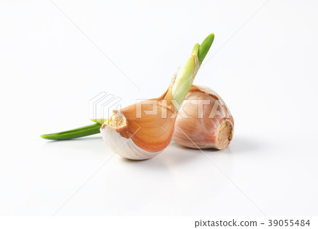 cloves of fresh garlic 39055484