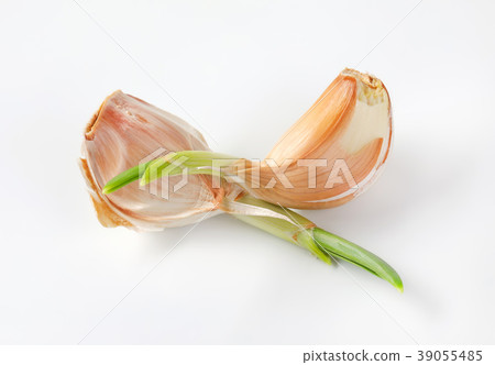 cloves of fresh garlic cloves of fresh garlic 39055485