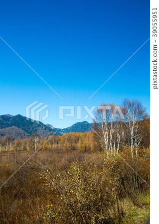 Nikko Sekigahara 39055951