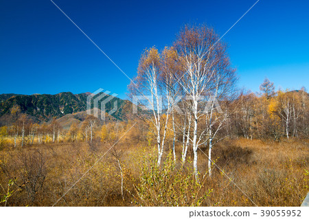 Nikko Sekigahara 39055952