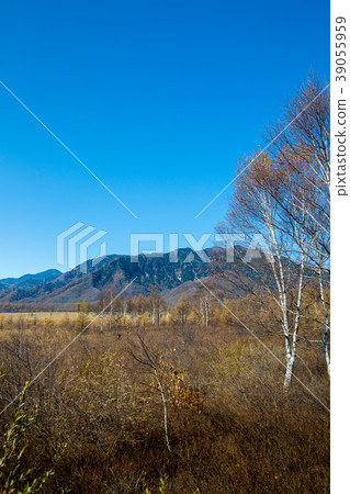 Nikko Sekigahara 39055959