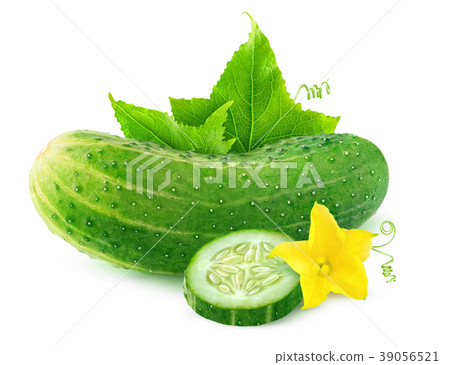 Isolated cucumber with flower and leaves Isolated cucumber with flower and leaves 39056521