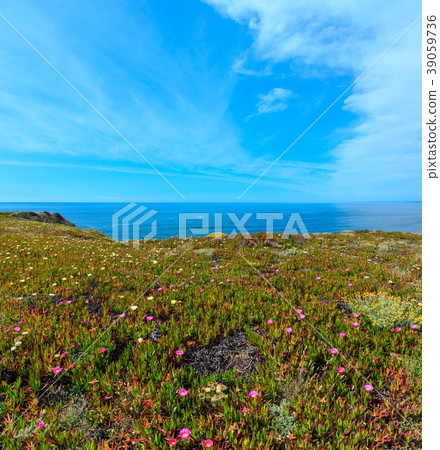 Summer Atlantic ocean coast (Algarve, Portugal). Summer Atlantic ocean coast (Algarve, Portugal). 39059736