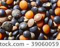 macro shot of mixed legumes 39060059