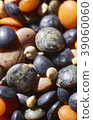 macro shot of mixed legumes 39060060