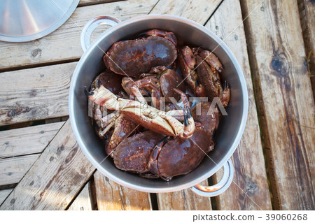 pan full of crabs on wooden table pan full of crabs on wooden table 39060268