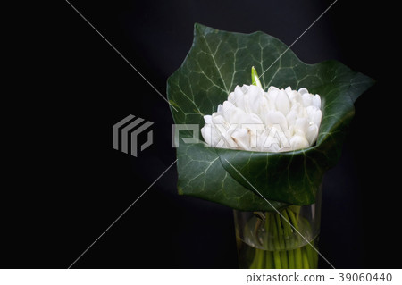 Spring flowers, snowdrops 8 March Women's Day. Spring flowers, snowdrops 8 March Women's Day. 39060440