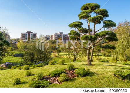 Beautiful park in a modern town Beautiful park in a modern town 39060650