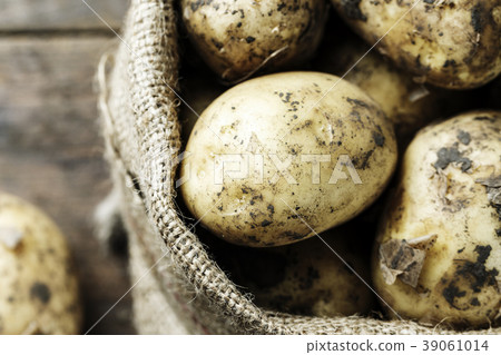 young potato in a burlap sack 39061014