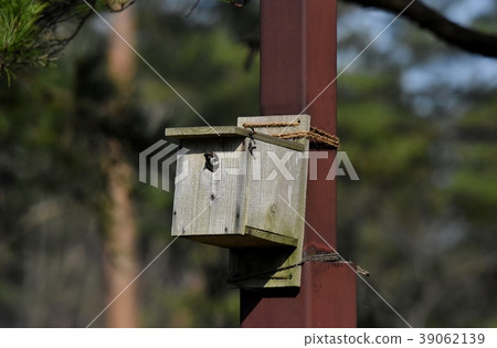 House of one sparrow 39062139