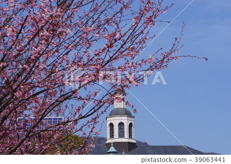 Cherry blossom and germany Cherry blossom and germany 39063441