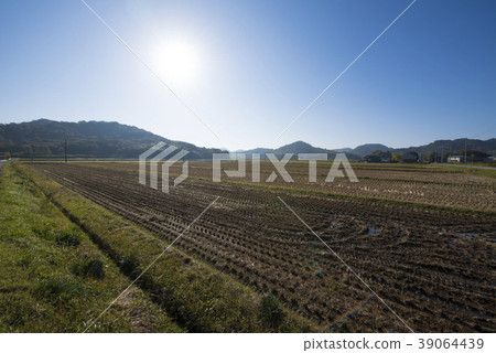 收穫後的鄉村（兵庫縣哈里馬地區） 39064439