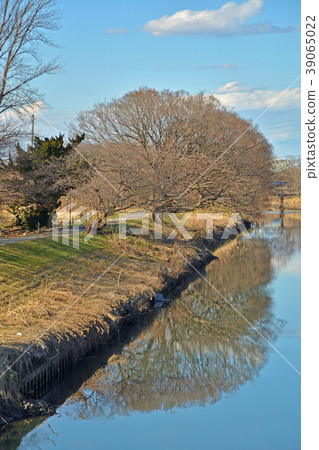 我的數字場:Shibakawa的流動 我的數字場:Shibakawa的流動 39065022