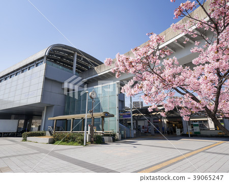 Ogasone車站Higashi-ku名古屋市和Kawazuzakura Ogasone車站Higashi-ku名古屋市和Kawazuzakura 39065247