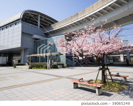 Ogasone車站Higashi-ku名古屋市和Kawazuzakura 39065249