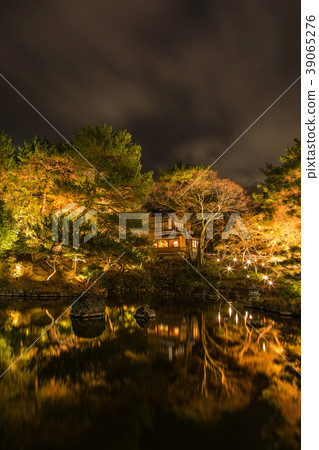 Higashiyama Flower Road / Maruyama Park Higashiyama Flower Road / Maruyama Park 39065276