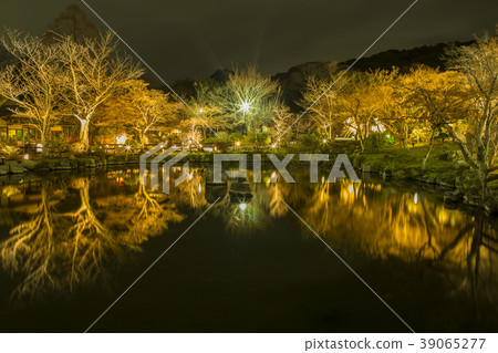Higashiyama Flower Road / Maruyama Park Higashiyama Flower Road / Maruyama Park 39065277