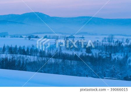 "Hokkaido" Biei of winter, Snowfield scenery of sunset "Hokkaido" Biei of winter, Snowfield scenery of sunset 39066015