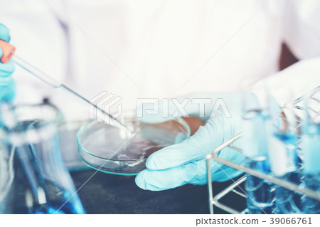 Scientist dropping chemical liquid to Petri dish 39066761