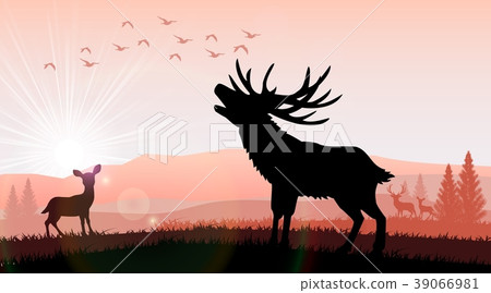 Silhouette a deer and kangaroo the feeding in the Silhouette a deer and kangaroo the feeding in the 39066981
