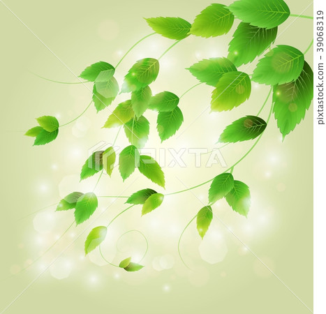 Spring branch with fresh green leaves - Stock Illustration [39068319 ...