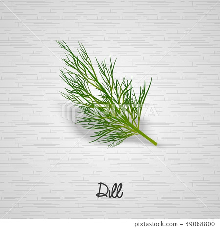 Sprig of dill illustration 39068800