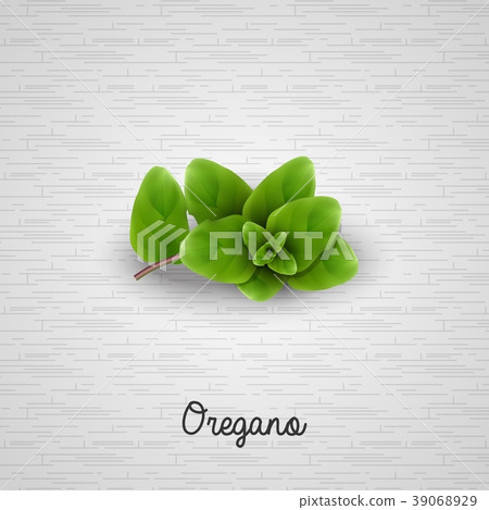 Fresh oregano sprigs 39068929